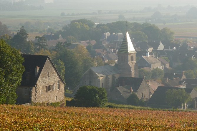 Full Day Private Tour 10 Premiers & Grands Crus, The Best of Burgundy - Lunch at a Family-Run Burgundy Estate