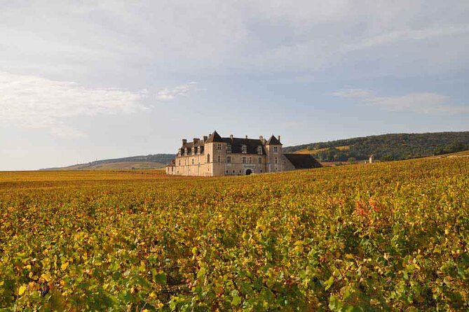 Full Day Private Tour 10 Premiers & Grands Crus, The Best of Burgundy - Cellars, Oak Barrels, and Older Bottles