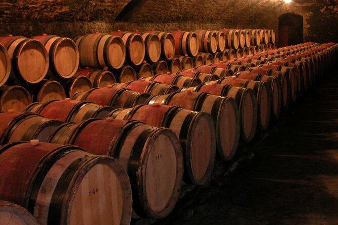 Full Day Private Tour 10 Premiers & Grands Crus, The Best of Burgundy - Afternoon in Vosne-Romanée and the Côte de Nuits