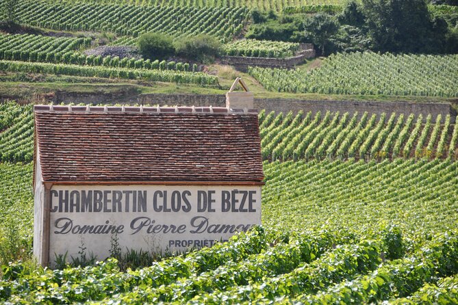 Full-Day Private Tour, 6 Premiers & Grands Crus, The Best of Burgundy - The private cellar finale
