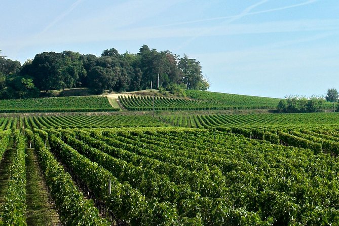 Full-day Saint-Emilion: Village, Undergrounds and Châteaux - Lunch, wine, and the value of the price