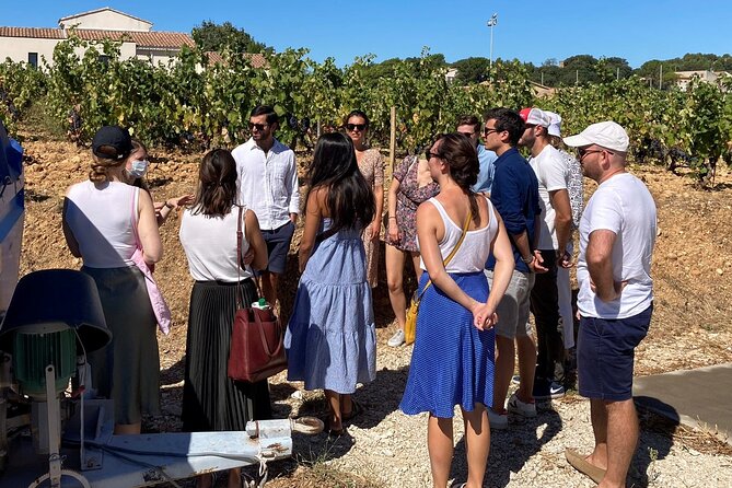 Full-Day Wine and Cheese Tour around Aix-en-Provence from Marseille - The afternoon winery and changing wine styles