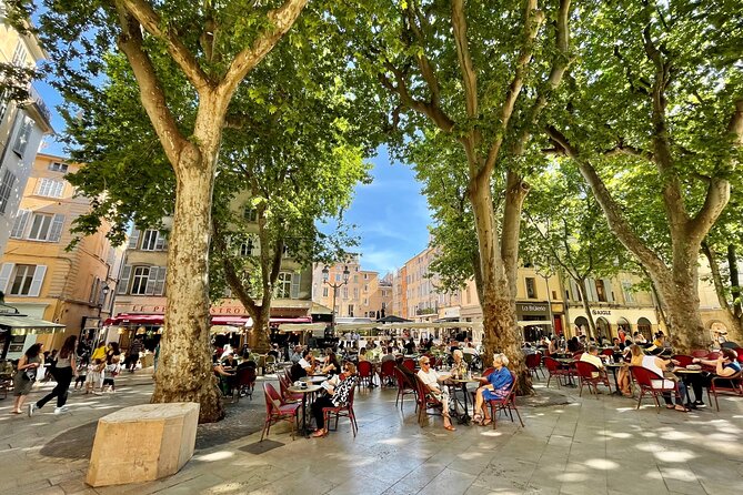 Full-Day Wine and Cheese Tour around Aix-en-Provence from Marseille - Why the guide can make or break the day