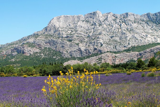 Full-Day Wine and Cheese Tour around Aix-en-Provence from Marseille - Weather, clothing, and small practical choices