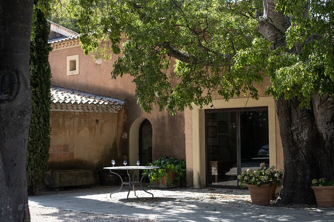 Full-day Wine Tour around Bandol & Cassis from Marseille - What to expect from the wine tastings