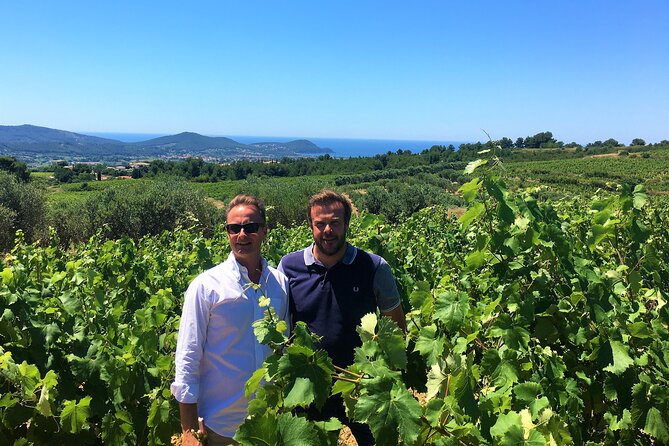 Full-day Wine Tour around Bandol & Cassis from Marseille - Cassis: lunch, harbor time, and a change of pace