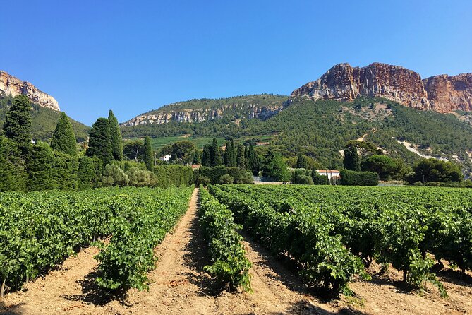 Full-day Wine Tour around Bandol & Cassis from Marseille - A Cassis winery and the coastal character of its wines