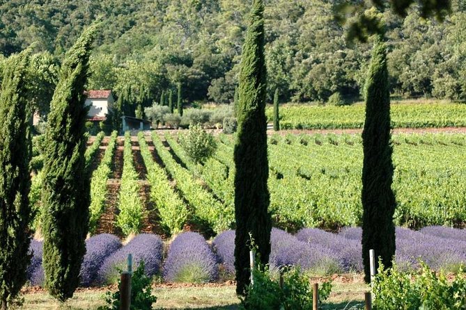 Full-Day Wine Tour around Luberon from Marseille - Key points to know before booking