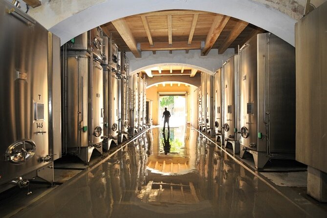 Full-Day Wine Tour around Luberon from Marseille - What the guides bring to the experience