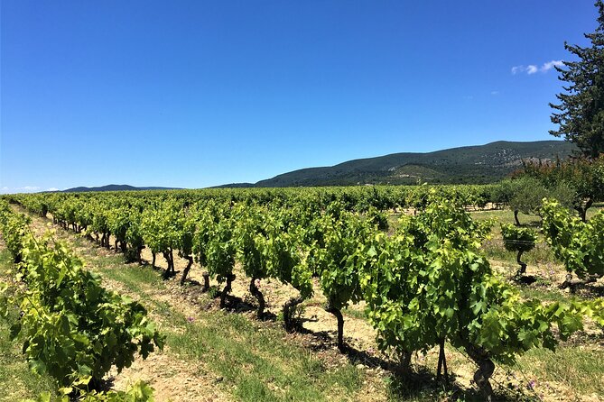 Full-Day Wine Tour around Luberon from Marseille - Lourmarin gives the day a welcome pause