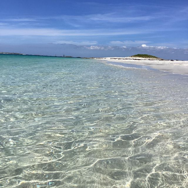 Glénan islands discover, full or half day privatization - Penfret, bird island and the best walk