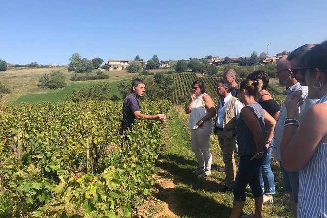 Golden stones Beaujolais Wine Tour with Tastings from Lyon - Why this four-hour Beaujolais trip works from Lyon