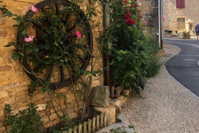 Golden stones Beaujolais Wine Tour with Tastings from Lyon