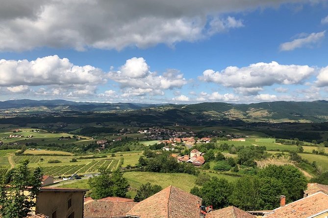 Golden stones Beaujolais Wine Tour with Tastings from Lyon - A family winery and the heart of the experience