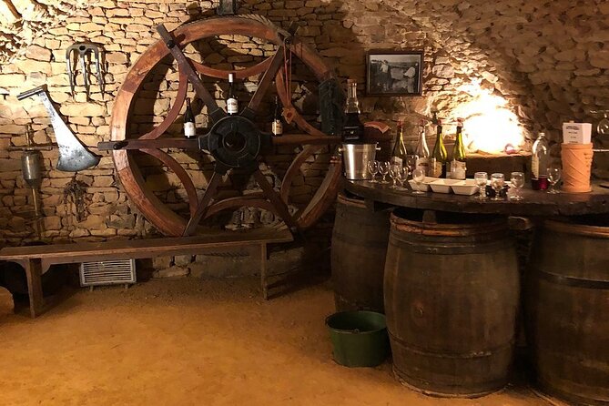 Golden stones Beaujolais Wine Tour with Tastings from Lyon - What the $119.77 price buys you