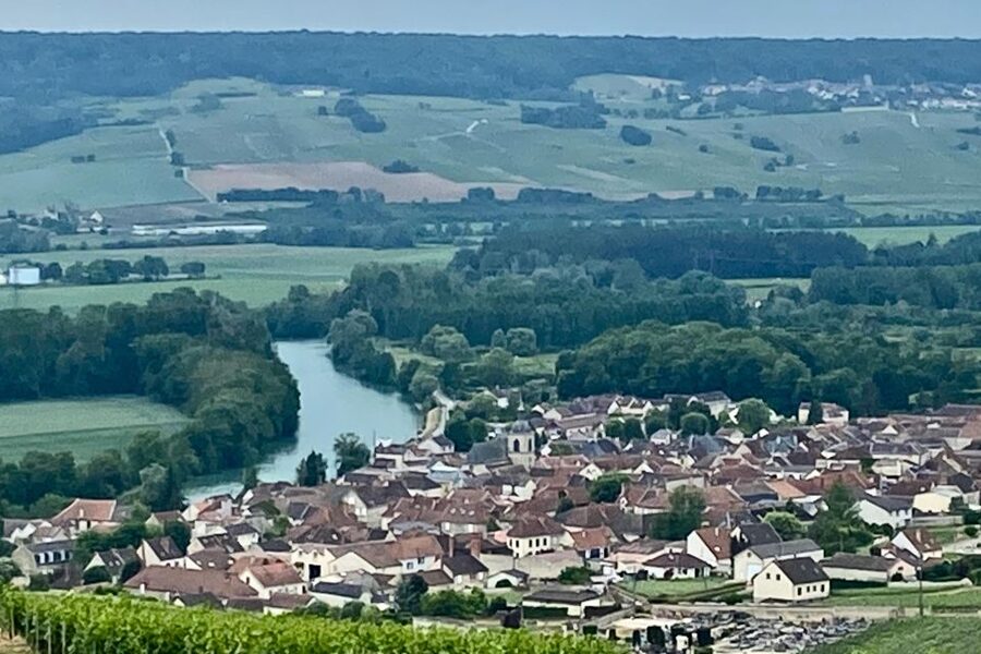 Grand Vintage Private Champagne Moet Chandon Veuve Clicquot - Should you book this private Champagne tour?