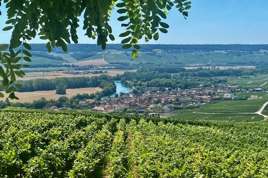 Grand Vintage Private Champagne Moet Chandon Veuve Clicquot - Hautvillers and the village connected with Dom Pérignon