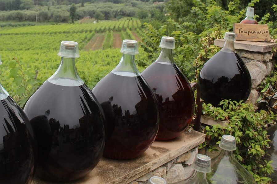 Grasse, Valbonne & Gourdon: Day Tour with Wine Tasting - The Bellet winery above Nice