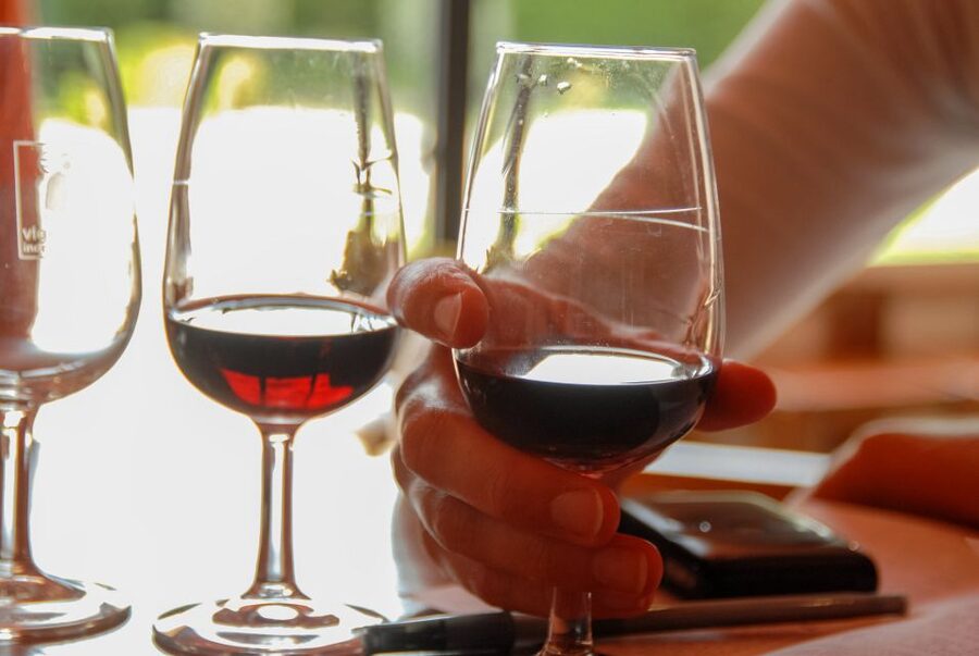 Grasse, Valbonne & Gourdon: Day Tour with Wine Tasting - What the guides add to the day