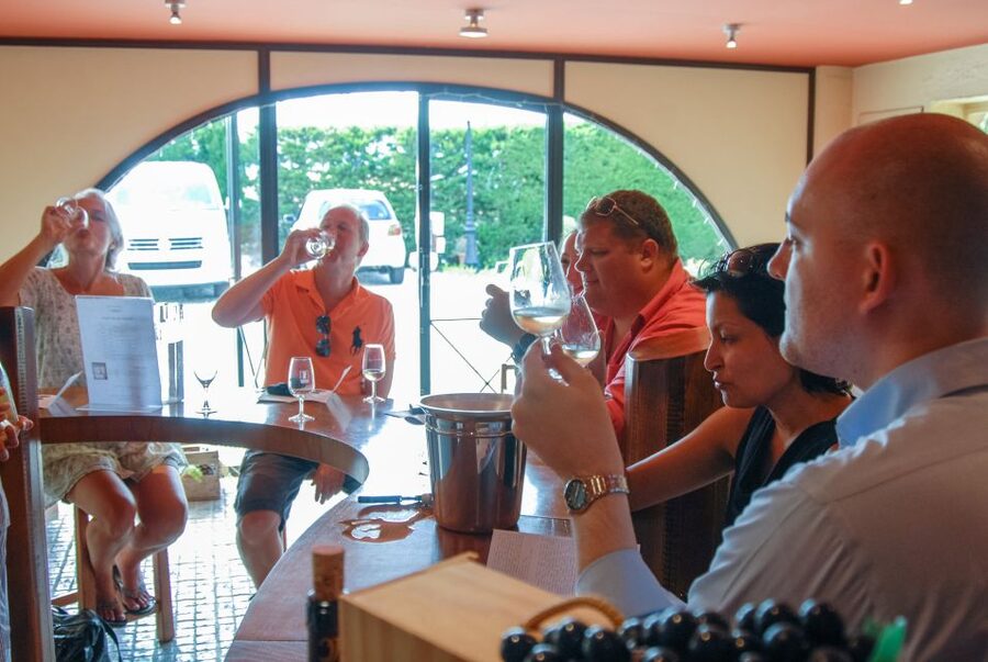 Grasse, Valbonne & Gourdon: Day Tour with Wine Tasting - Who should book this tour?