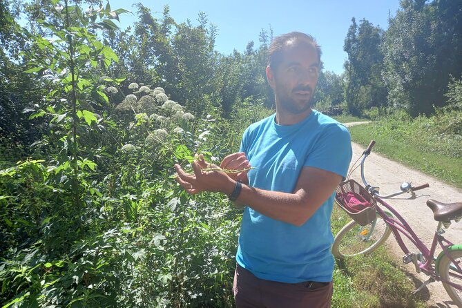 Green Venice Cycling Getaway - Why the Marais Poitevin works so well by bike