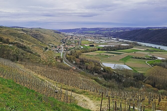 Guided Day Tour and Wine Tasting Northern Rhône Valley - Lunch in Tain-l’Hermitage is a real part of the day