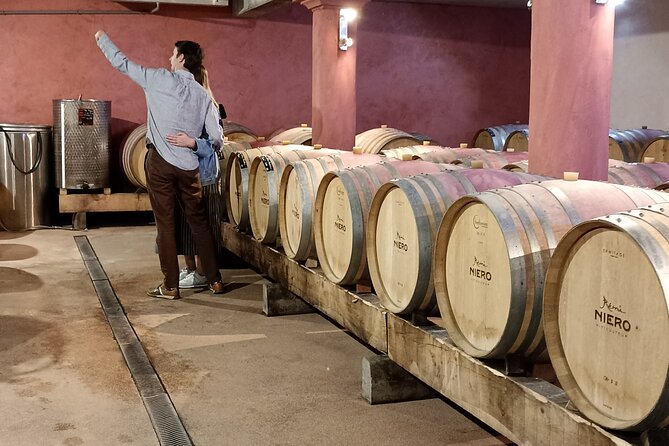 Guided Day Tour and Wine Tasting Northern Rhône Valley - Three different wineries make the tasting more useful