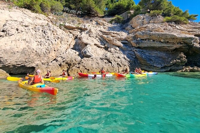 Guided kayak excursion in creeks - How hard is the kayaking?