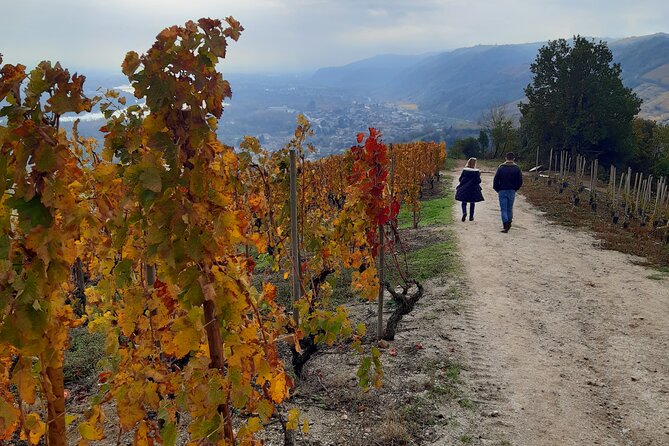 Guided tour and wine tasting Northern Rhône Valley - Key points to know before you book