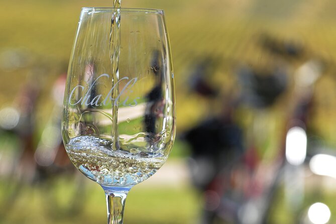 Guided tour of the Chablis Vineyards by e-bike - Key Points Before You Book