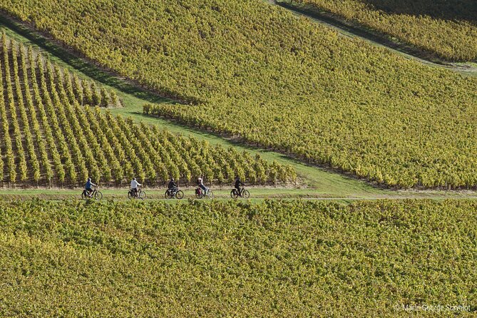 Guided tour of the Chablis Vineyards by e-bike - Turning Appellations Into Something You Can See