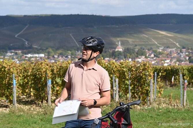 Guided tour of the Chablis Vineyards by e-bike - Inside the Wine Estate
