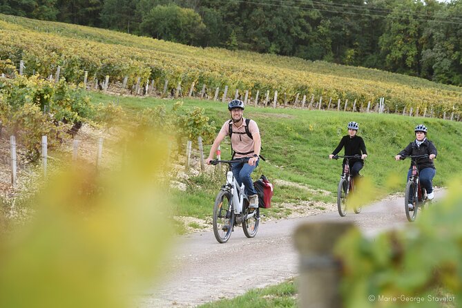 Guided tour of the Chablis Vineyards by e-bike - Five or Six Wines at the Finish