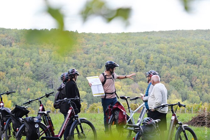 Guided tour of the Chablis Vineyards by e-bike - Who Will Enjoy This Most