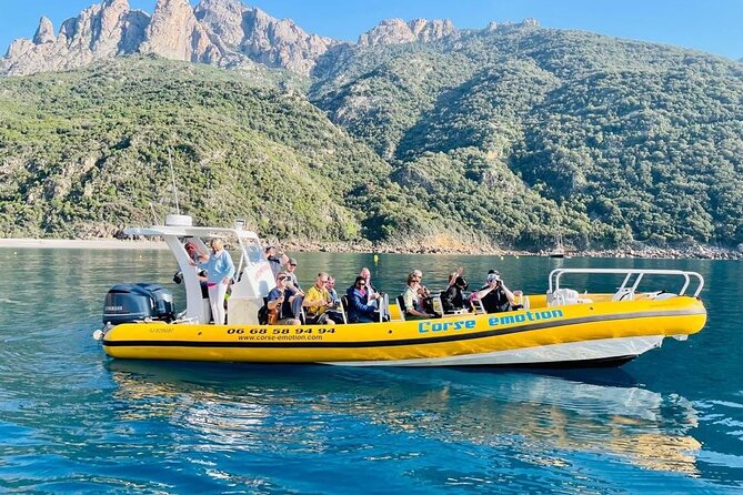 Half Day Boat Trip to Scandola Calanche de Piana - Starting at 229 A Marina in Porto