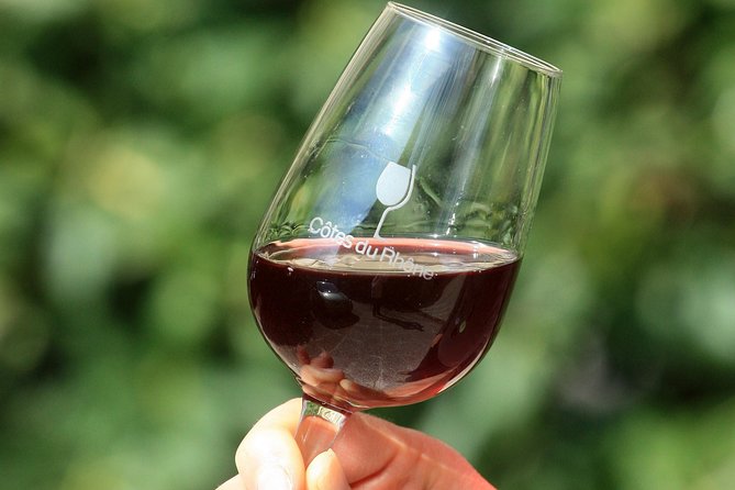Half Day Great Vineyard Tour from Avignon - What the wine instruction is really like