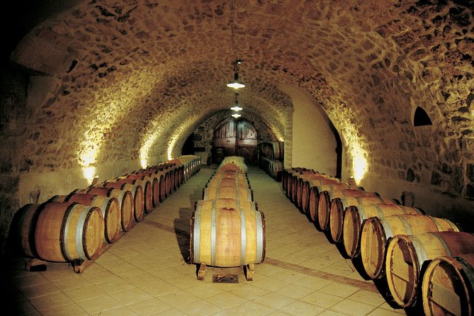 Half Day Great Vineyard Tour from Avignon - A half-day pace with real tradeoffs