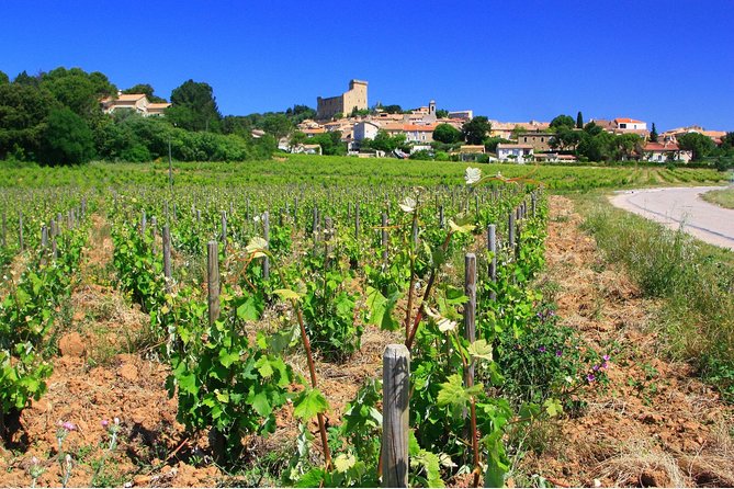 Half Day Great Vineyard Tour from Avignon - The value of $96.55 per person