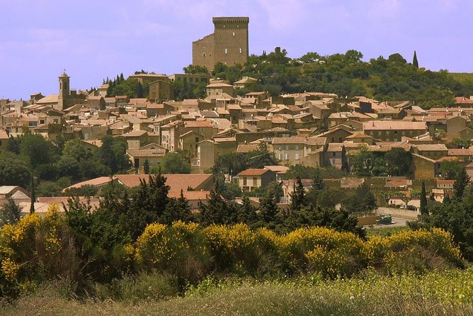 Half Day Great Vineyard Tour from Avignon - The guides are the heart of the outing