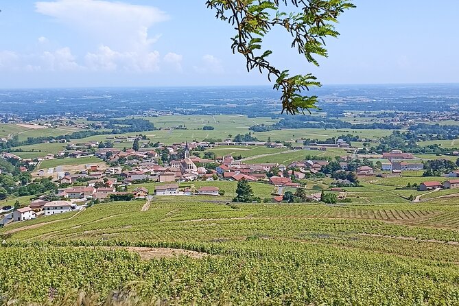 Half-Day Guided Tour with Tasting of Beaujolais Wines - Leaving Lyon for Beaujolais