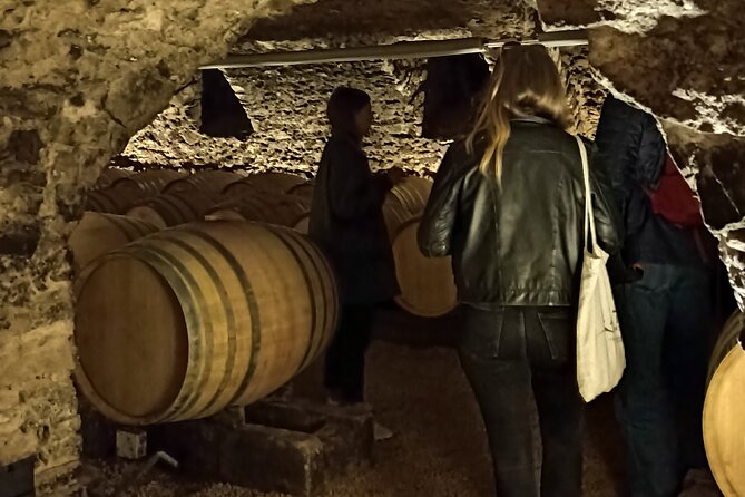 Half-Day Guided Tour with Tasting of Beaujolais Wines - Bagnols and the first look at the hills