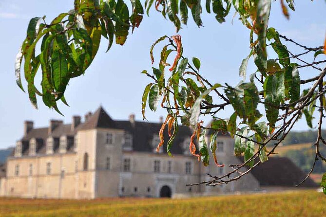 Half Day Tour of the Cote de Nuits Vineyards from Dijon - Key points to know before you book