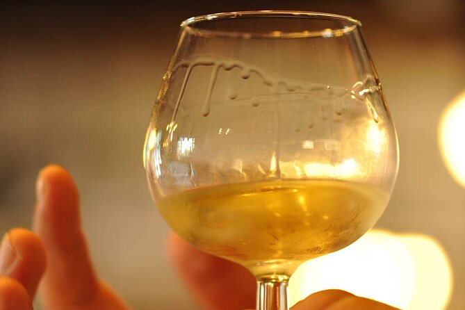 Half Day Tour of the Cote de Nuits Vineyards from Dijon - How much value do you get for $80?