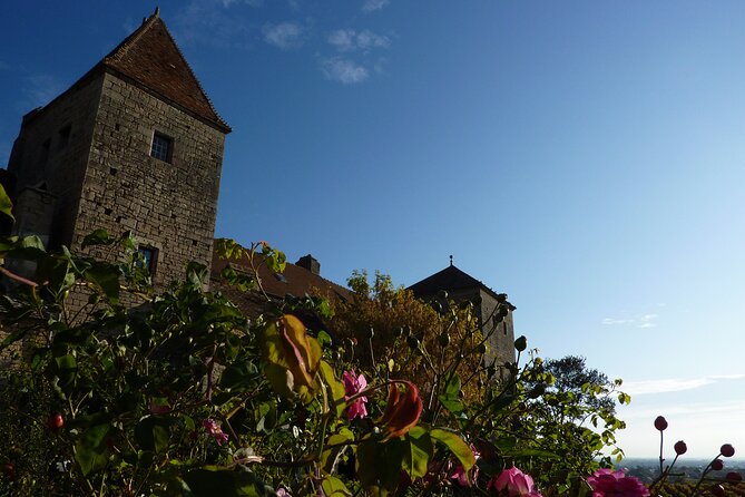 Half Day Tour of the Cote de Nuits Vineyards from Dijon - Who will enjoy this tour most?
