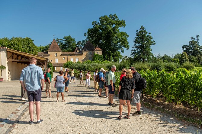 Half-Day Wine tour across Bordeaux’s Vineyards - Key points to know before booking