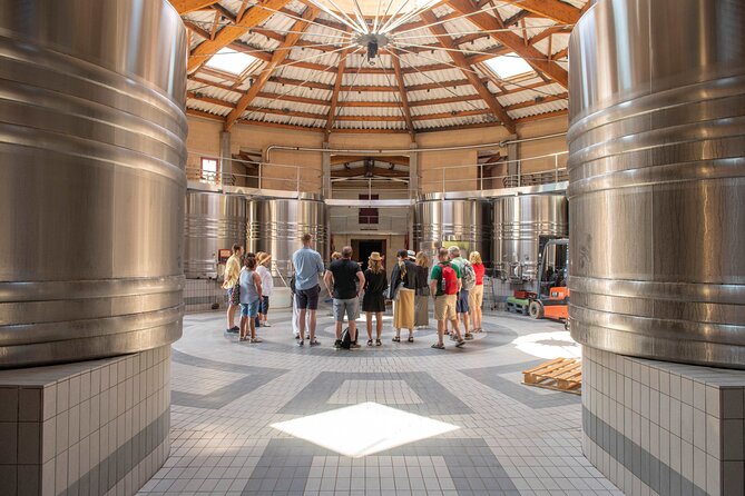 Half-Day Wine tour across Bordeaux’s Vineyards - Leaving Bordeaux at 1:30 p.m.