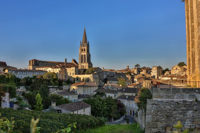 Half-Day Wine tour across Bordeaux’s Vineyards - The château visit and tasting