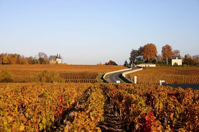 Half-Day Wine tour across Bordeaux’s Vineyards - Weather, food, and practical comfort