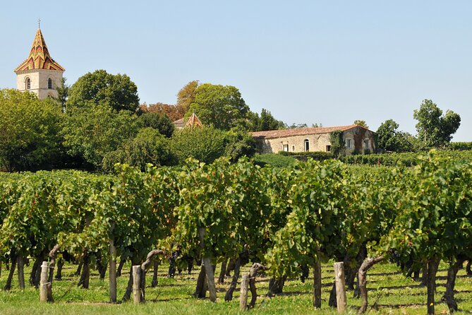 Half-Day Wine tour across Bordeaux’s Vineyards - Who should book this afternoon?