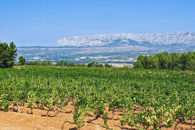 Half day Wine Tour in Côtes de Provence Sainte-Victoire from Aix en Provence - Leaving Aix for Sainte-Victoire